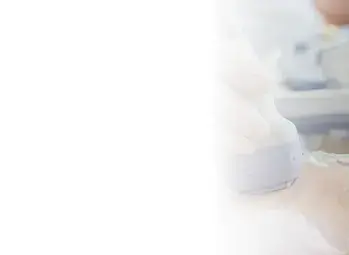 Nyaki erek áramlásának vizsgálata